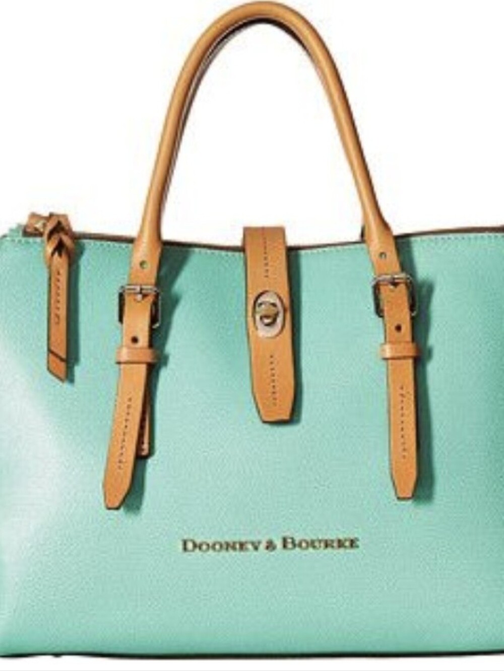 Dooney & Bourke Aqua Leather Satchel with Brown Trim and Pink Lining